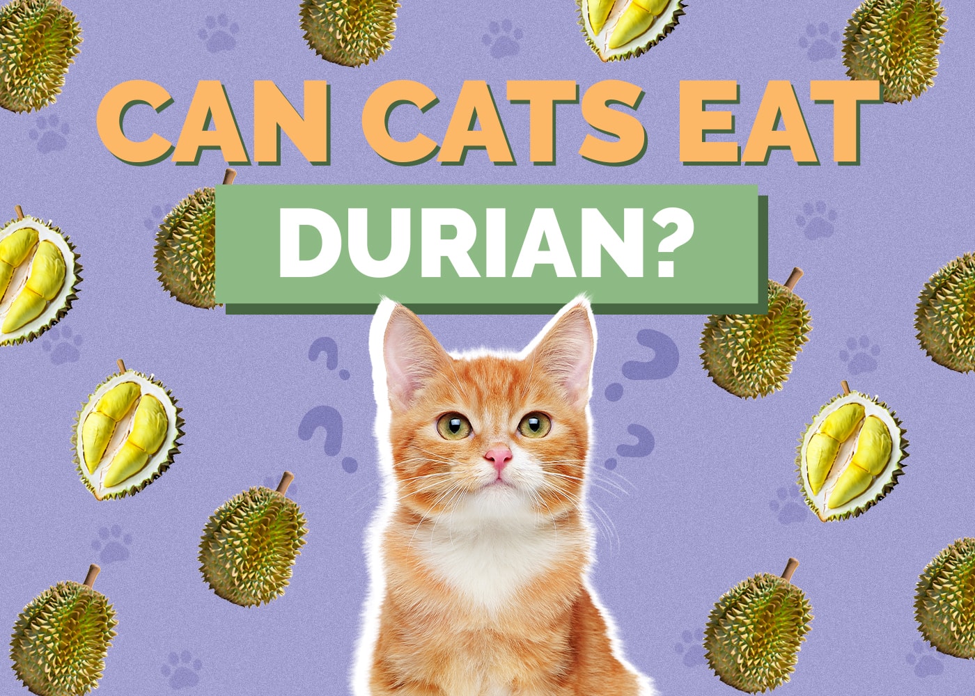 Mohou kočky jíst Durian? Průvodce nutričními fakty a bezpečností