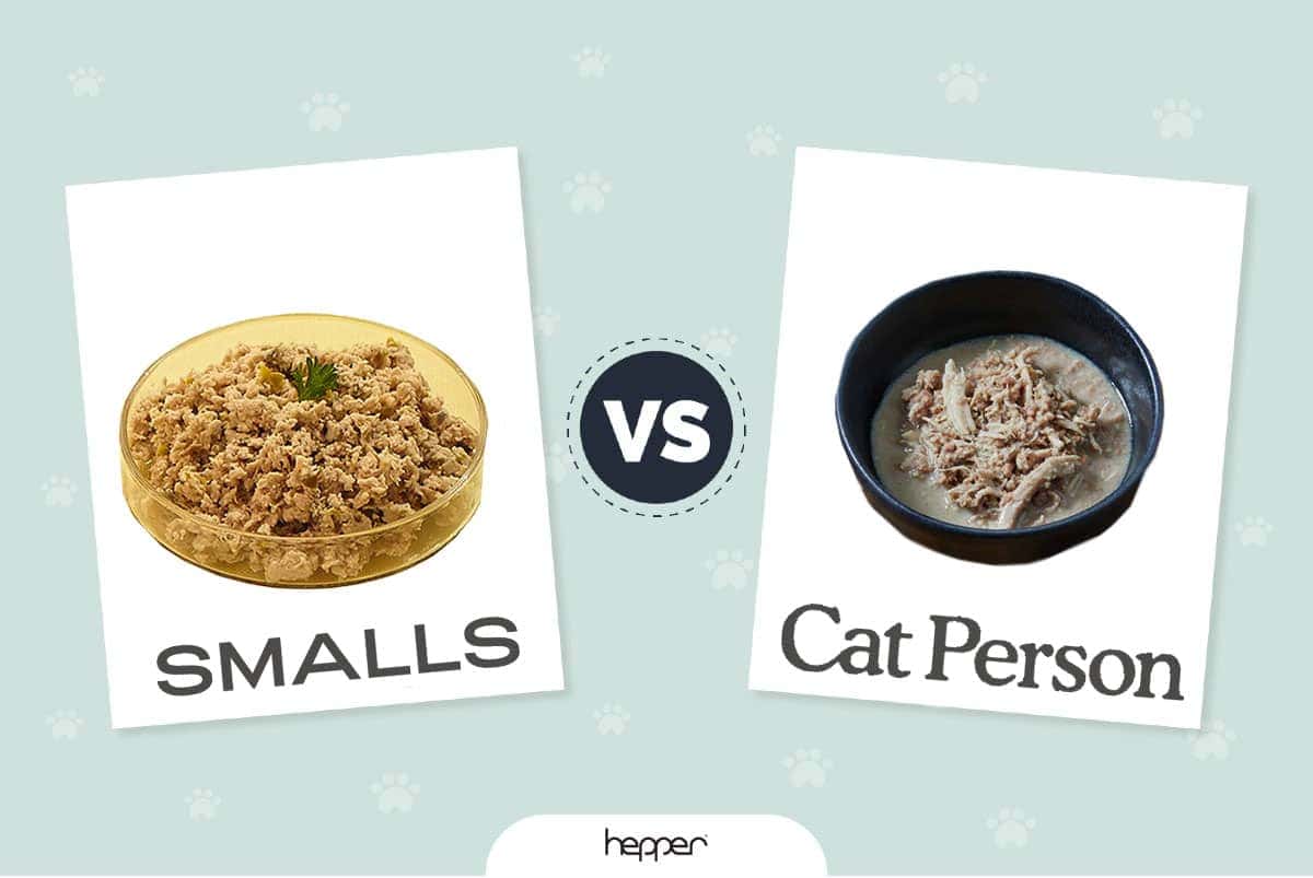 Smalls versus Cat Person: Které čerstvé krmivo pro kočky je pro vaši kočku to pravé? (2023)