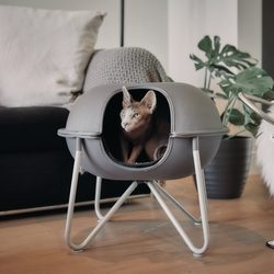 hepper pod postel obývací pokoj sphynx kočka malá