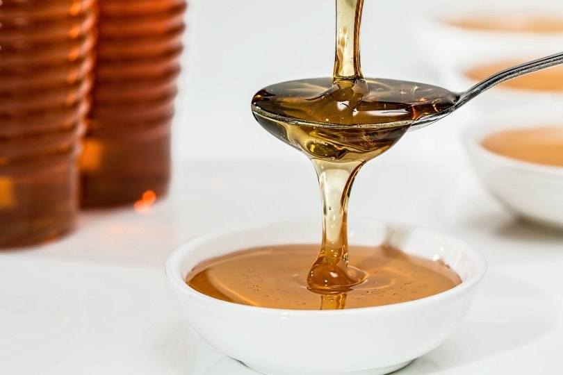 Mohou kočky pít sirup? Fakta o výživě a zdraví