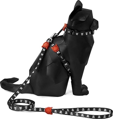 Zee.Dog Skull Polyesterový postroj a vodítko pro kočky