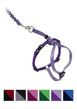 Petsafe Come With Me Kitty Nylonový postroj a bungee vodítko