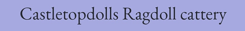 Logo Castletopdolls Ragdoll Cattery