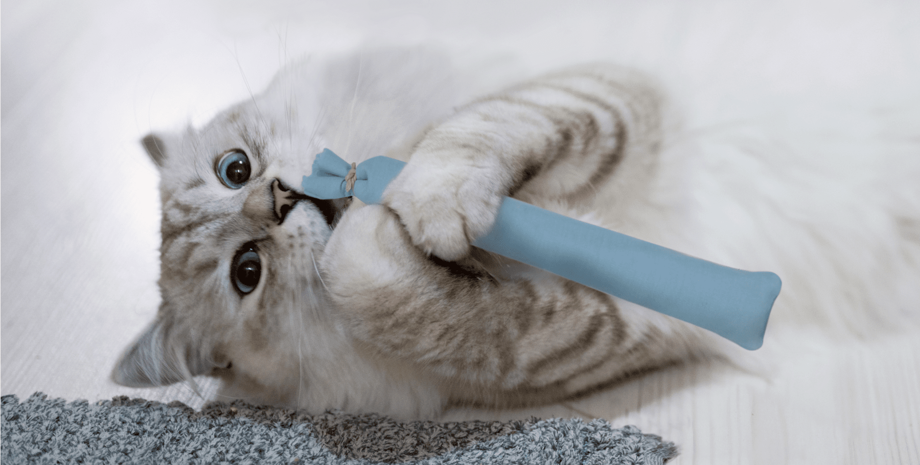 Hp Catnip Stick Toy 4