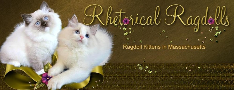 Rétorické logo Ragdolls