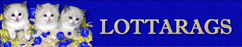 Logo Lottarags
