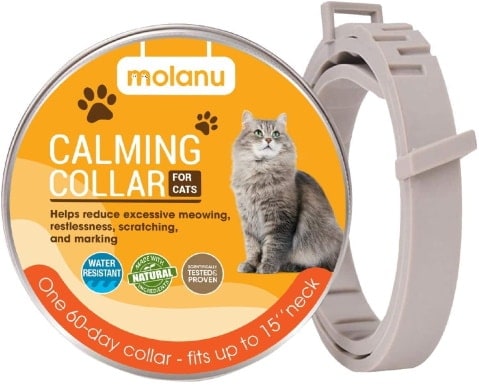 MOLANU Cat uklidňující obojek_Amazon