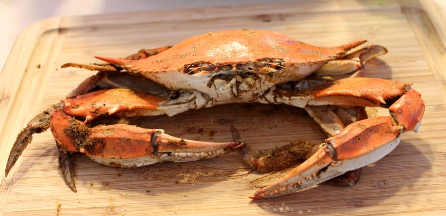 vařený krab