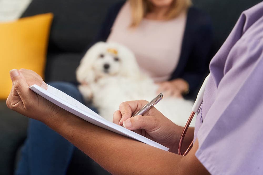 veterinář zapisuje předpis