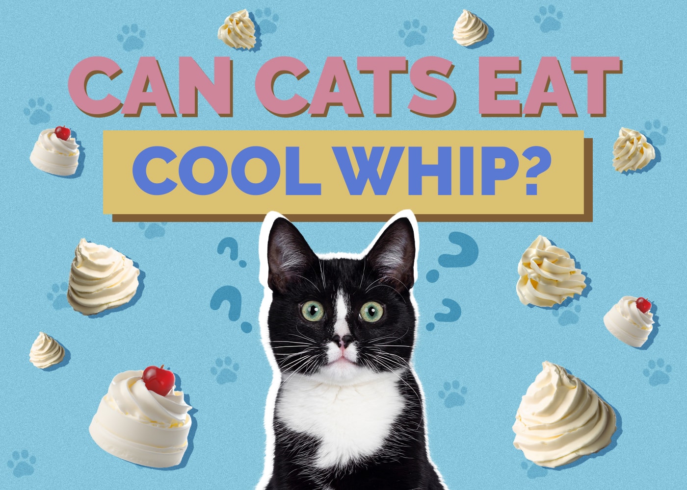 Mohou kočky jíst cool whip? Co potřebuješ vědět!