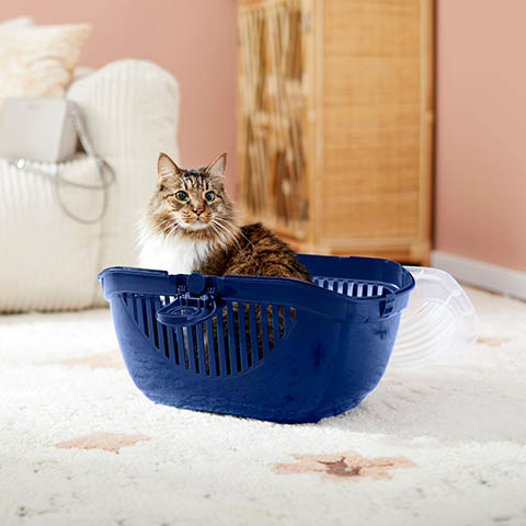 Chovatelská stanice Frisco Top Loading Cat