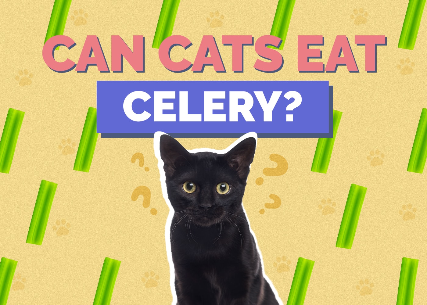 Mohou kočky jíst celer