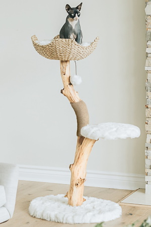 Mau Lifestyle Postel Cat Tree