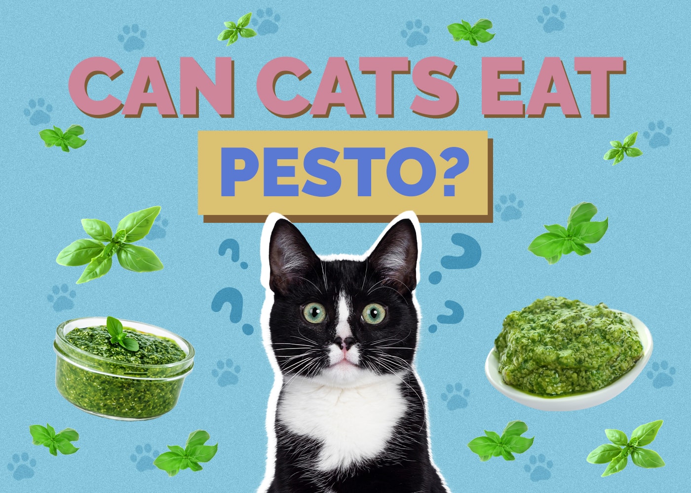 Mohou kočky jíst pesto? Příručka pro zdraví a bezpečnost zkontrolovaná veterinárním lékařem