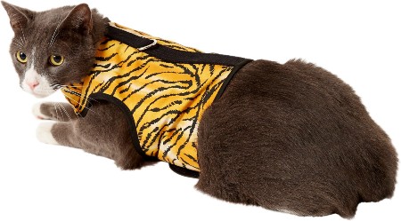 Postroj pro kočky Kitty Holster