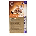 Bayer Advantage Topical Cat Solution