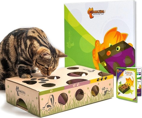 Cat Amazing Interactive Treat Maze a Puzzle Toy
