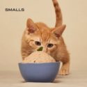 Smalls Smooth Bird Předplatné čerstvého krmiva pro kočky
