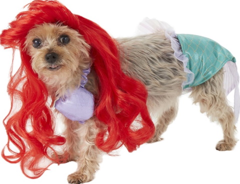 Kostým pejska a kočky princezny Ariel Disney