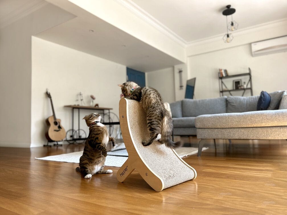 tony a gepard hravá koťátka na hepper hi-lo cat škrabadlo