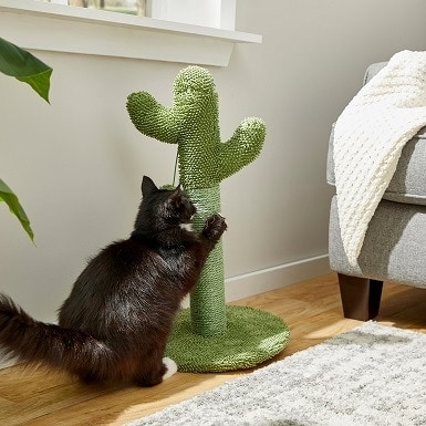2Frisco Cactus Cat škrabadlo