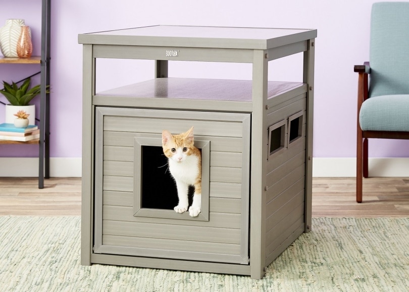 New Age Pet ecoFLEX Loo & End Table