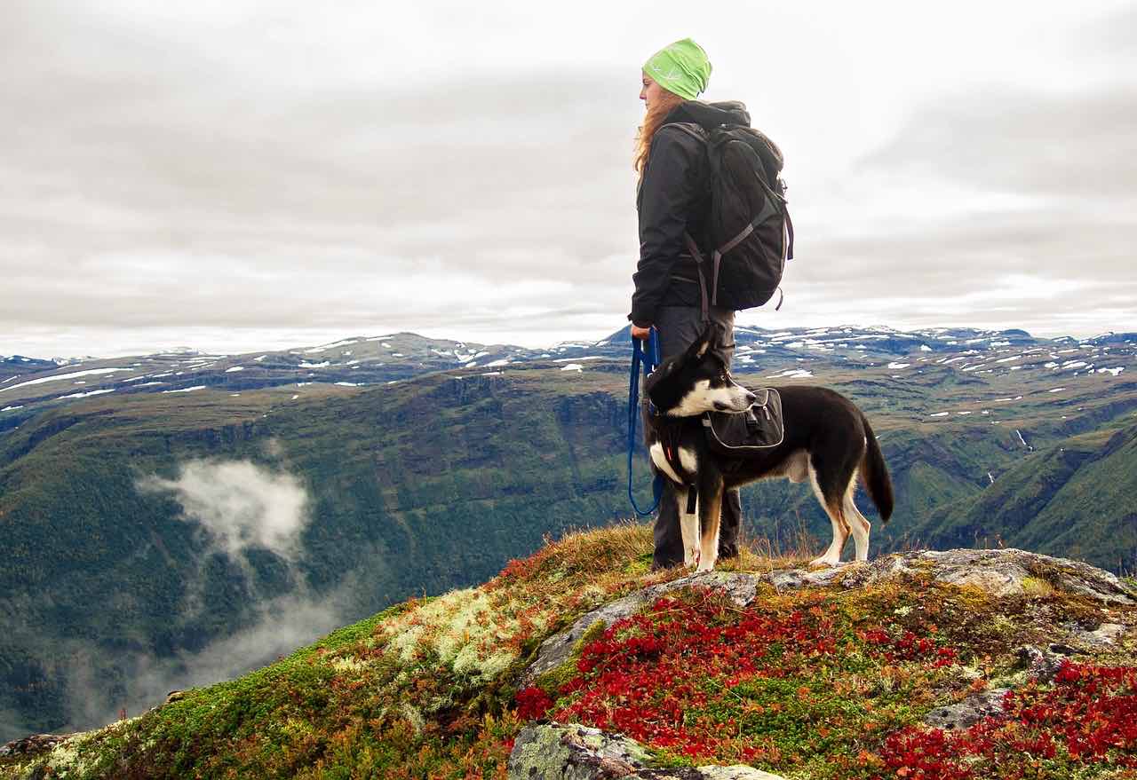 husky turistika s dívkou