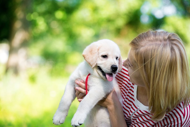 mladá žena držící štěně bílého labradorského retrívra
