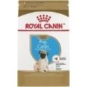 Mops Royal Canin