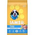 Jams ProActive