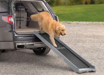 9 nejlepších psích ramp pro SUV v roce 2023 – recenze a nejlepší výběry