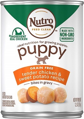 Nutro Core Wet Dog