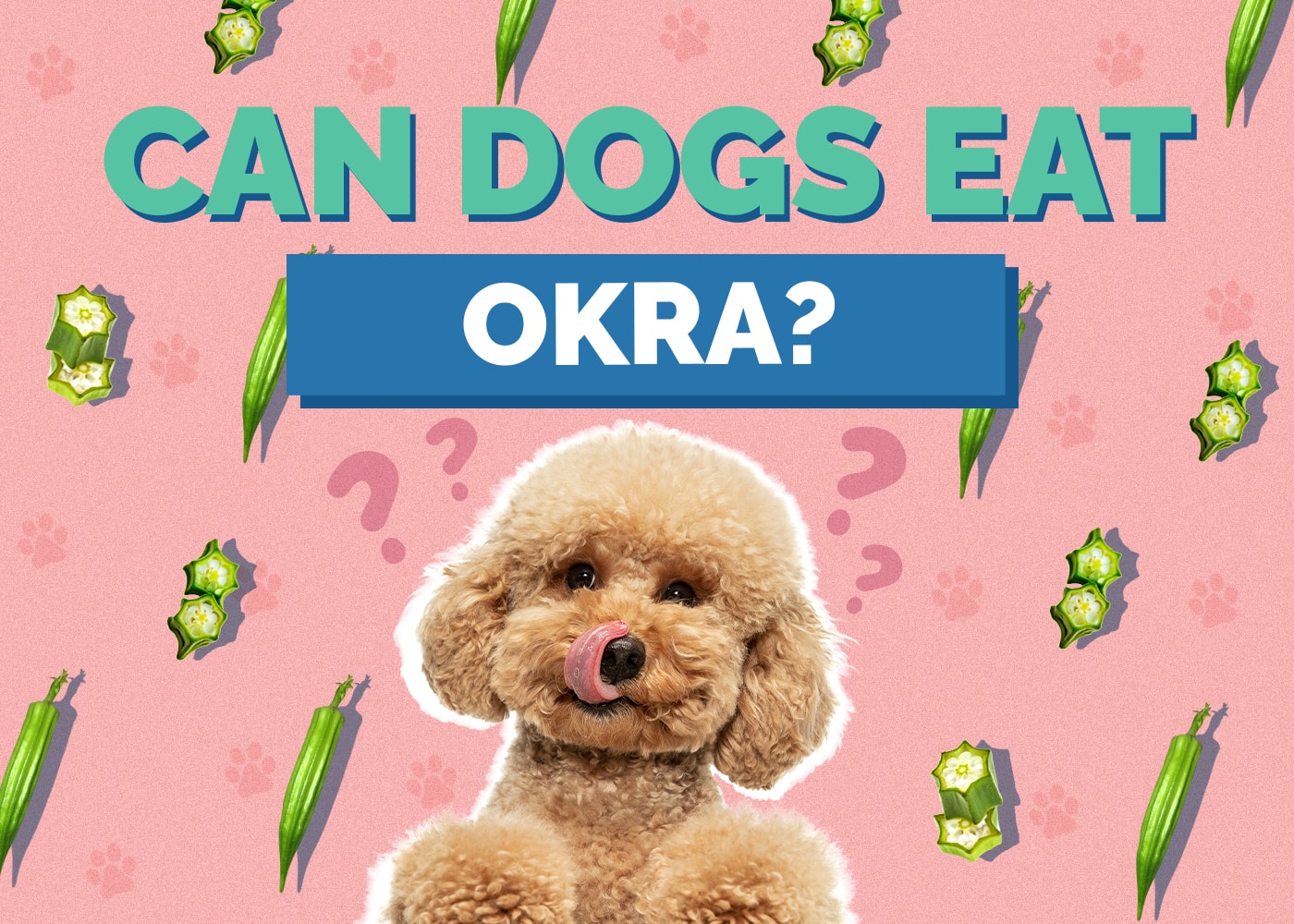 Mohou psi jíst okra