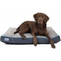 Better World Pets Pes Bed