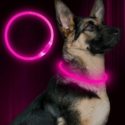 BSEEN 01 LED obojek pro psy