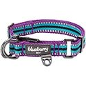 Blueberry Pet 3M reflexní obojek pro psy