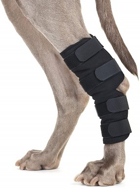 Zpátky na trať