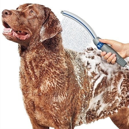 Sprcha Waterpik Pet Wand Pro pro psy