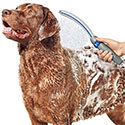 Sprcha Waterpik Pet Wand Pro pro psy