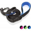 Vodítko pro těžké psy Paw Lifestyles