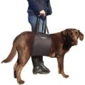 Podpůrný postroj Labra Sling Dog Lift