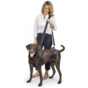 Zvedací postroj pro psy PetSafe Solvit