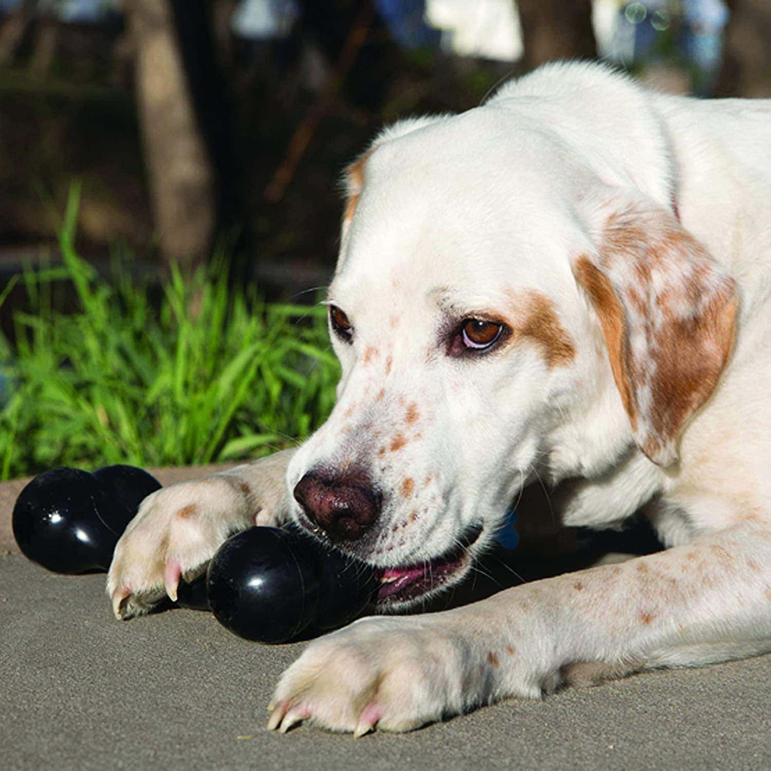 KONG 10015 Extreme Goodie Bone-FI