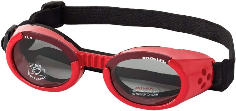 Doggles ILS brýle