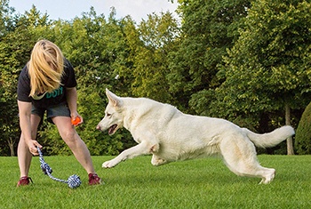 Sada hraček Tug of War-4LegsFriend-Amazon
