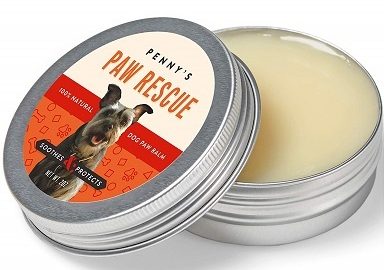 Penny's Paw Rescue