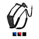 Postroj Sporn Mesh No Pull Dog