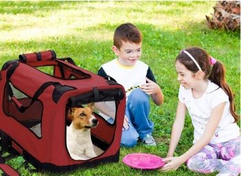 Nejlepší přenosná přepravka pro psy