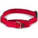 PetSafe