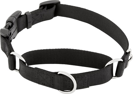 Pevný Nylonový obojek Martingale pro psa Frisco